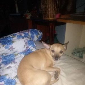 Meet your Posher, Katherine